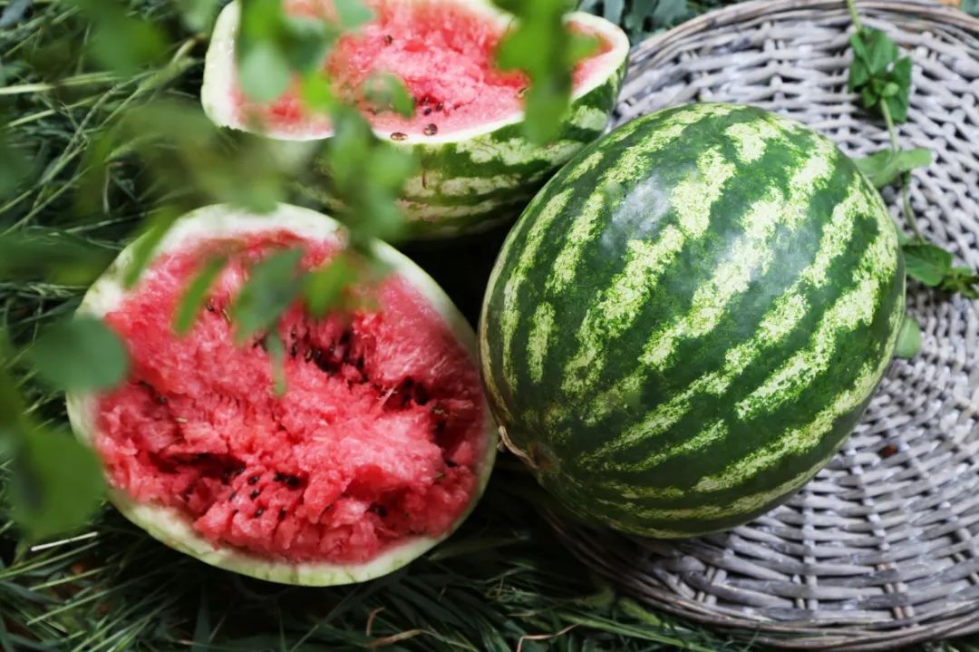 西瓜.jpeg 西瓜.jpeg