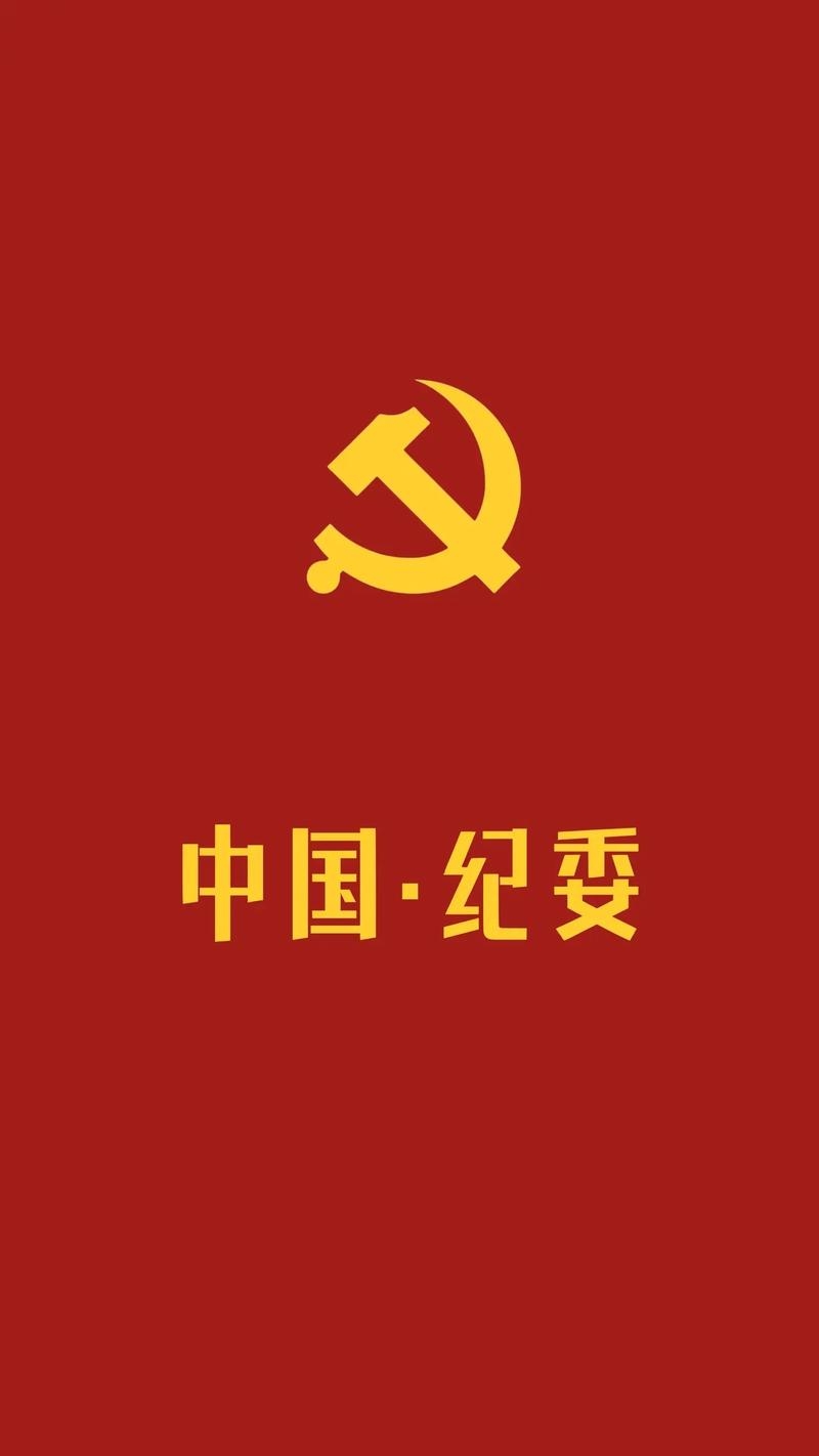 体制内解析：纪委(图4)