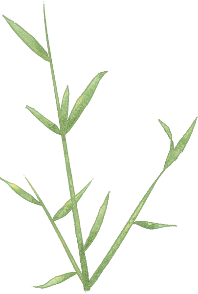 飞天价格下跌！茅台酒6月18日行情价(图7)