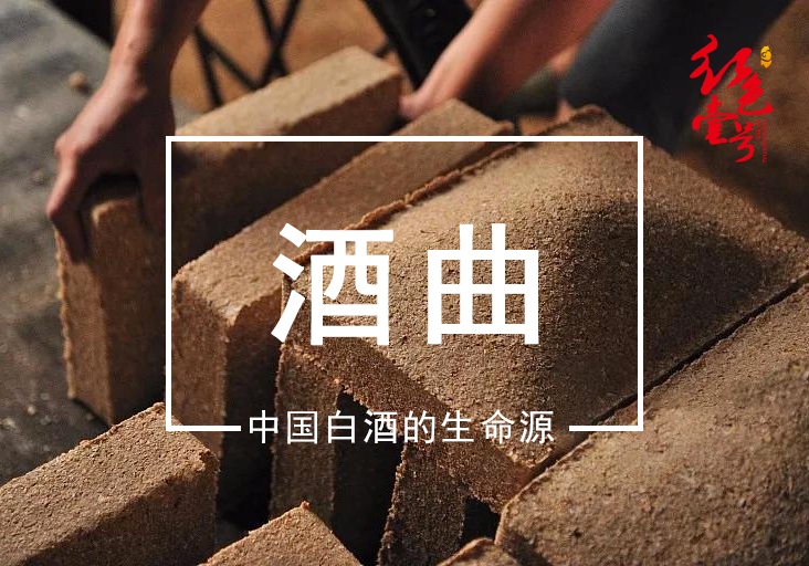 酒曲：穿越七千年的文明酵母(图5)