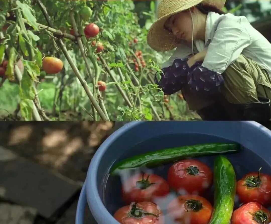 蔡澜:一个家庭,如果做饭不用心,对吃的不讲究,甚至特别舍不得吃,那这个家庭,大概率是没有什么和气,财气与朝气的......(图4) 蔡澜:一个家庭,如果做饭不用心,对吃的不讲究,甚至特别舍不得吃,那这个家庭,大概率是没有什么和气,财气与朝气的......(图4)