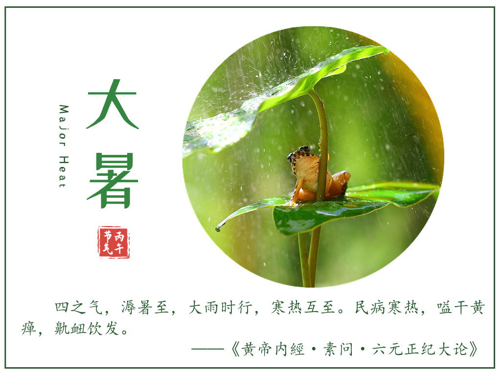 丙午大暑，寒凉湿溽(图1)