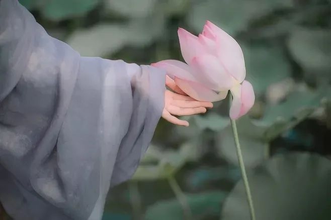 丙午大暑，寒凉湿溽(图7)