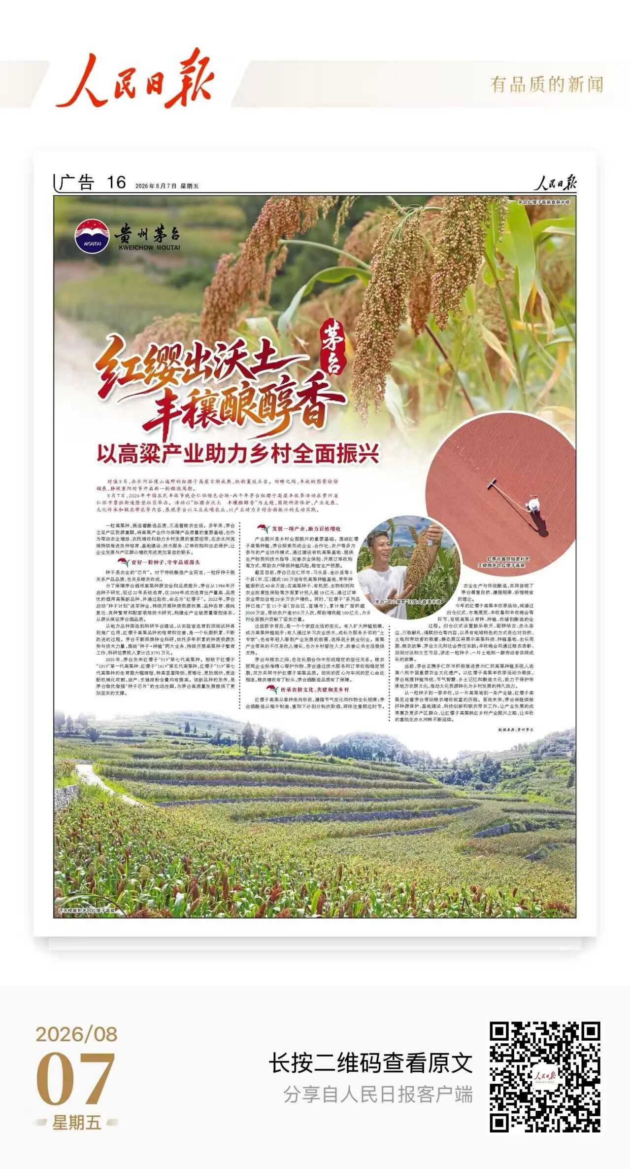 人民日报：红缨出沃土 丰穰酿醇香 以高粱产业助力乡村全面振兴，贵州茅台酒销售有限公司温馨提示：谨防“茅台会所”等虚假招商(图1)
