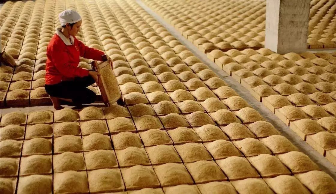 端午制曲.jpg 端午制曲.jpg