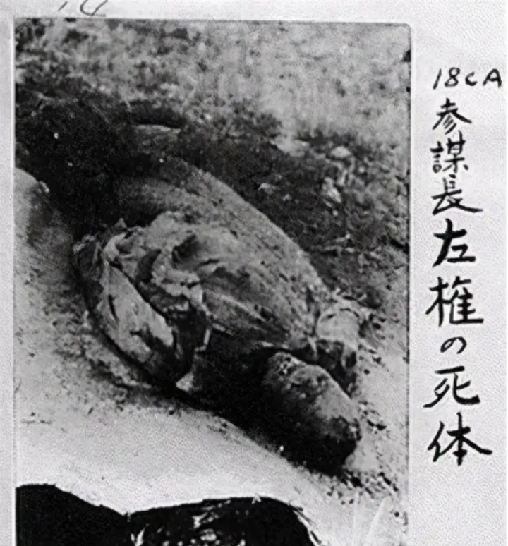 左权10.png