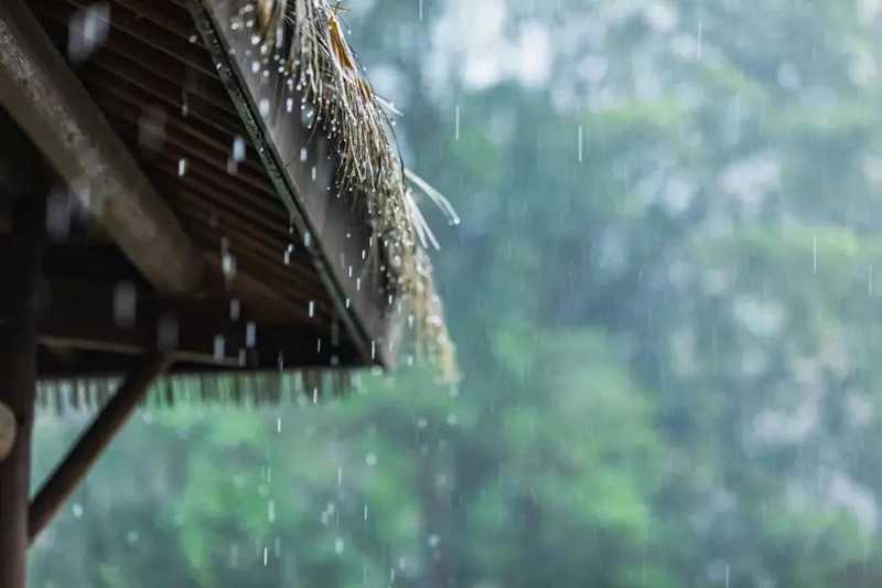 听雨闻香，再喝一壶不求解渴的酒.jpg